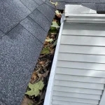 before-gutter-cleaning